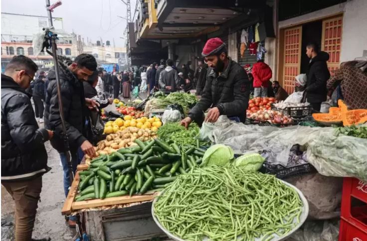 الاحتلال يدمِّر حقول الحمضيَّات في غزَّة ويصيب مزارعيها بالشَّلل الاقتصاديِّ