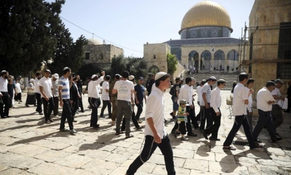 مئات المستوطنين يقتحمون الأقصى في سادس أيام "عيد العرش"