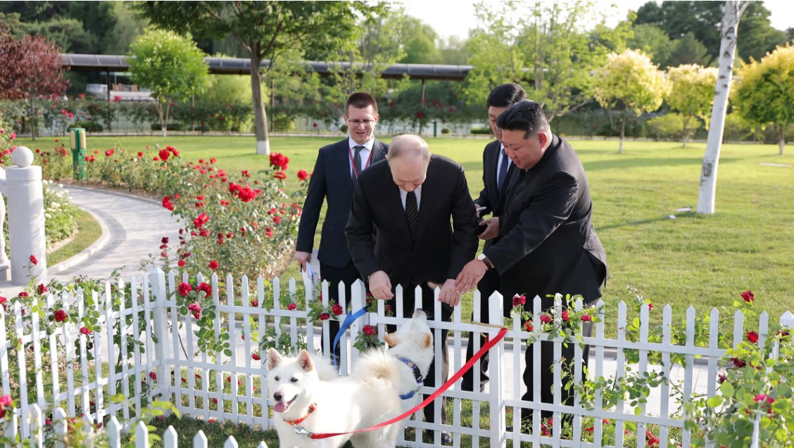كيم يهدي بوتين زوجاً من كلاب الصيد "بونجسان"