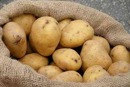 30 قرش كيلو البطاطا في السوق المركزي 