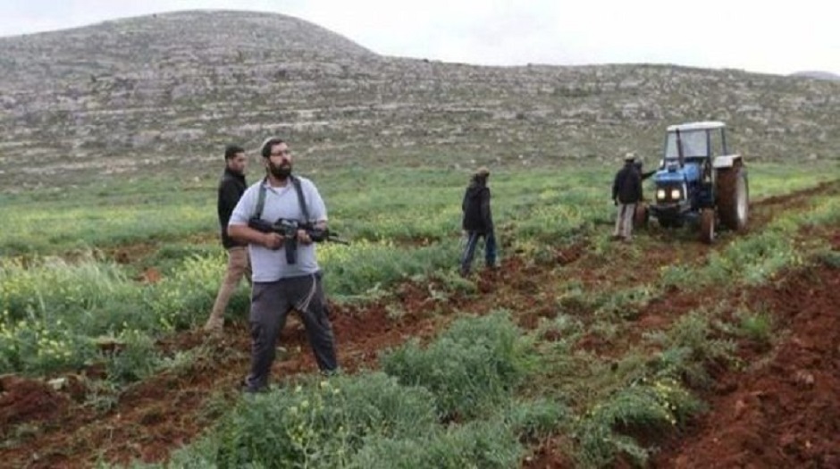 مستوطنون يعتدون على المحاصيل الزراعية الفلسطينية في الأغوار الشمالية