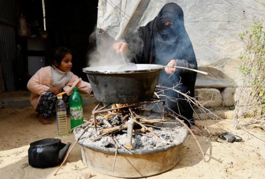 مواطنون في غزَّة يأكلون لحم سلحفاة قذفتْها أمواج البحر وسط تفاقم أزمة الغذاء