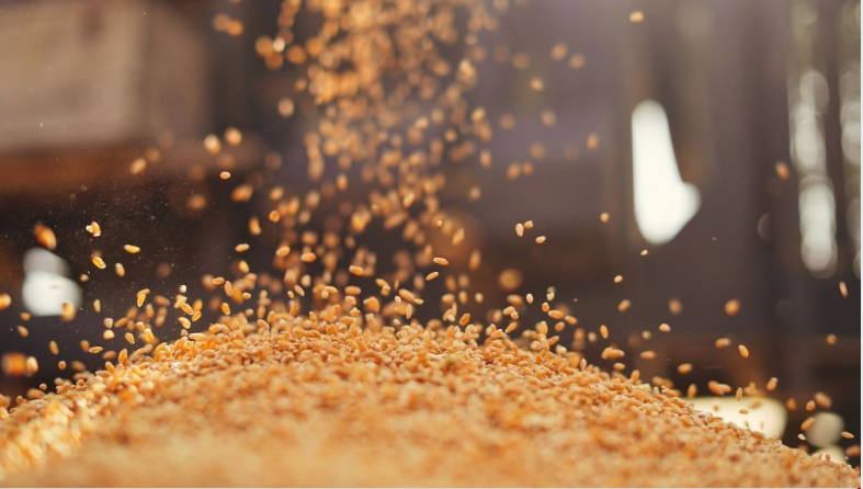الصناعة والتجارة تُخفض سعر طن دقيق القمح الموحد والقمح