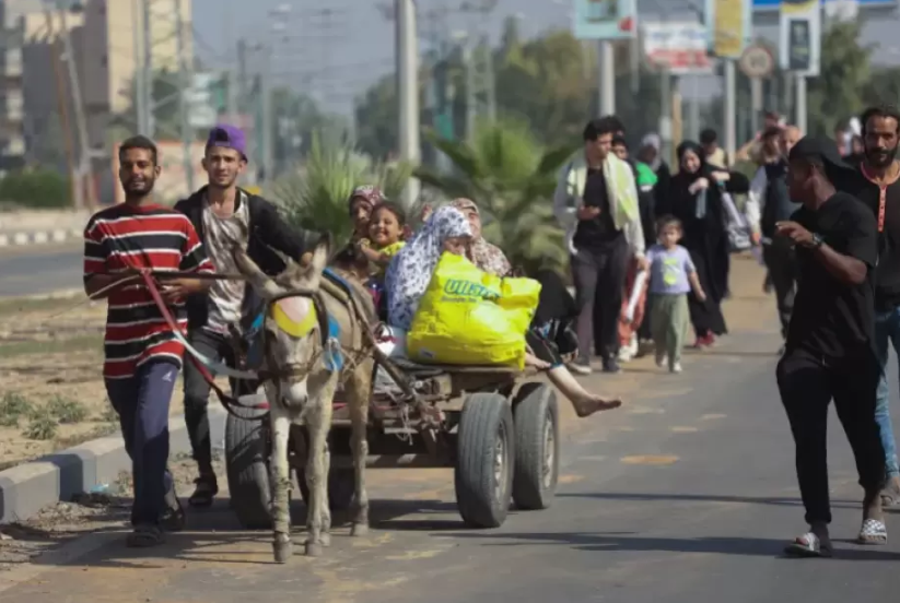 عربات الكارو ..  وسيلة نقل المواطنين الأكثر شيوعاً في غزة خلال الحرب