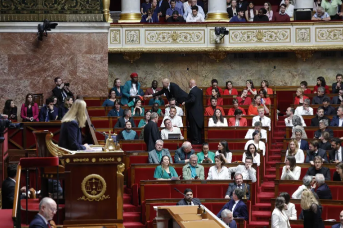 احتفاء برفع علم فلسطين داخل البرلمان الفرنسي للمرة الثانية