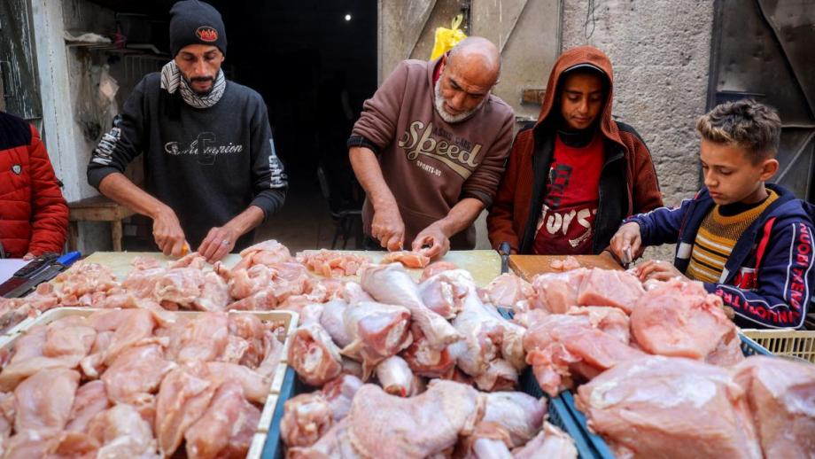 دعوات لتشكيل هيئة مركزية لتنسيق توزيع المساعدات في غزة