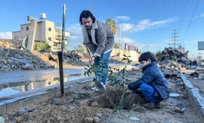 بعد "الإبادة الإسرائيلية" ..  مبادرة فردية لزراعة الأشجار وإعادة "خضرة غزة"