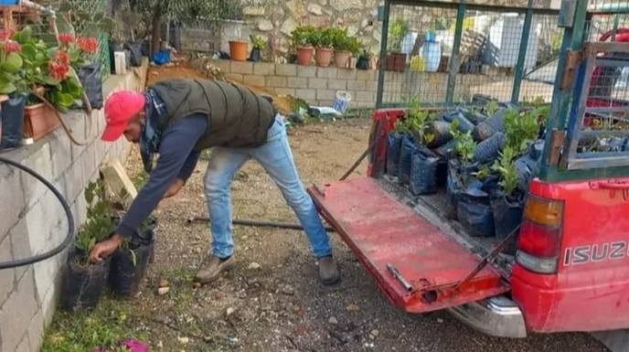 استياء في جرش بعد إغلاق مشتل "جملا" الزراعي