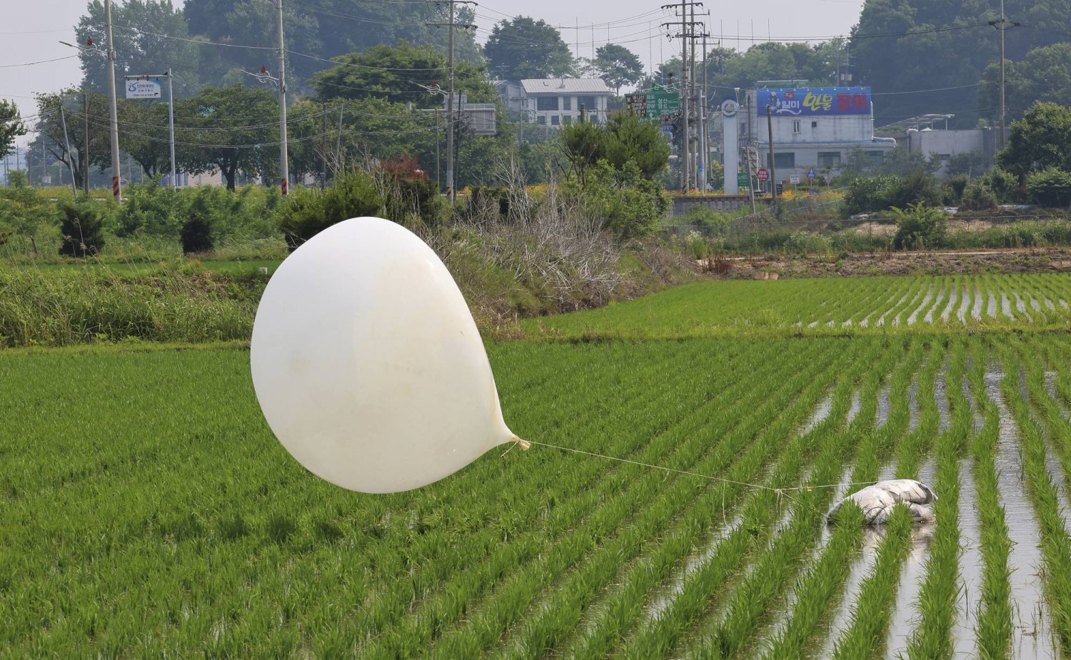 مجدداً ..  كوريا الشمالية ترسل مئات البالونات المحمّلة بالنفايات إلى الجنوب